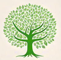 Rasilimali za Everwood